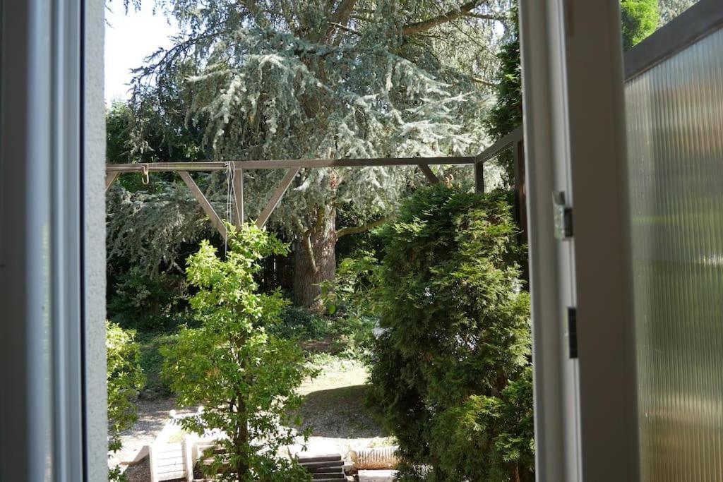 Apartment Appart' Wifi & Netflix Avec Terrasse Privative :) Mulhouse